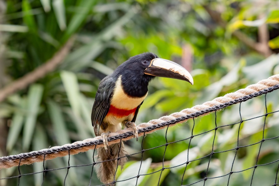 - file://80aw96c4yrtiqhgt