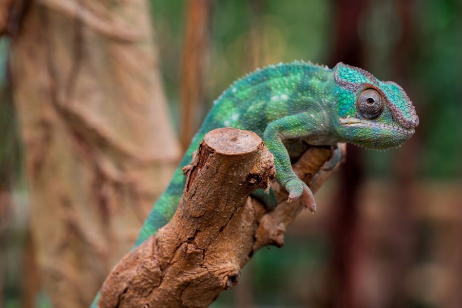 - file://eejrozupfbotugze