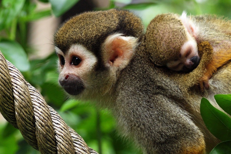 - file://hiowihrma1men49p