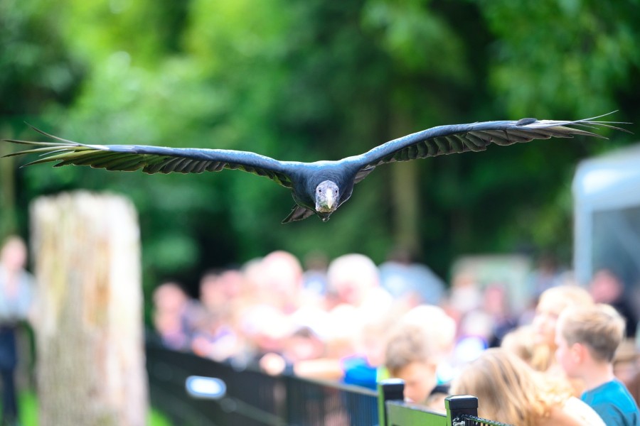 - file://cyutmrwti99n8stf