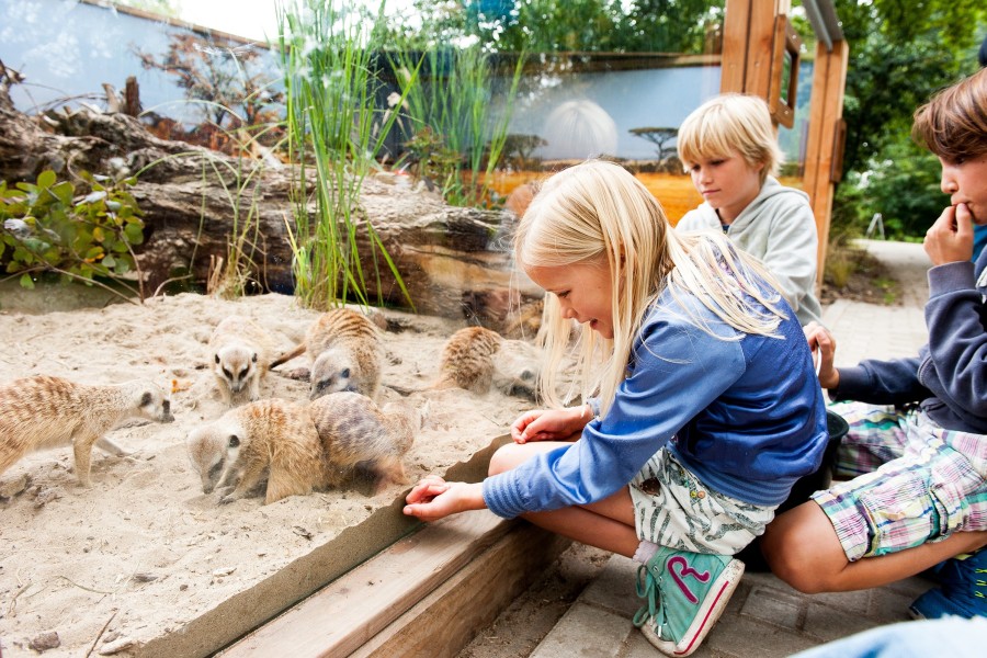 - file://tsi3ugyf8iqiapex