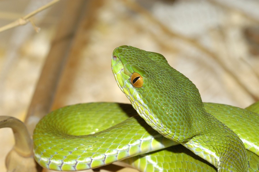 - file://tqpfrhpco6oshv4u