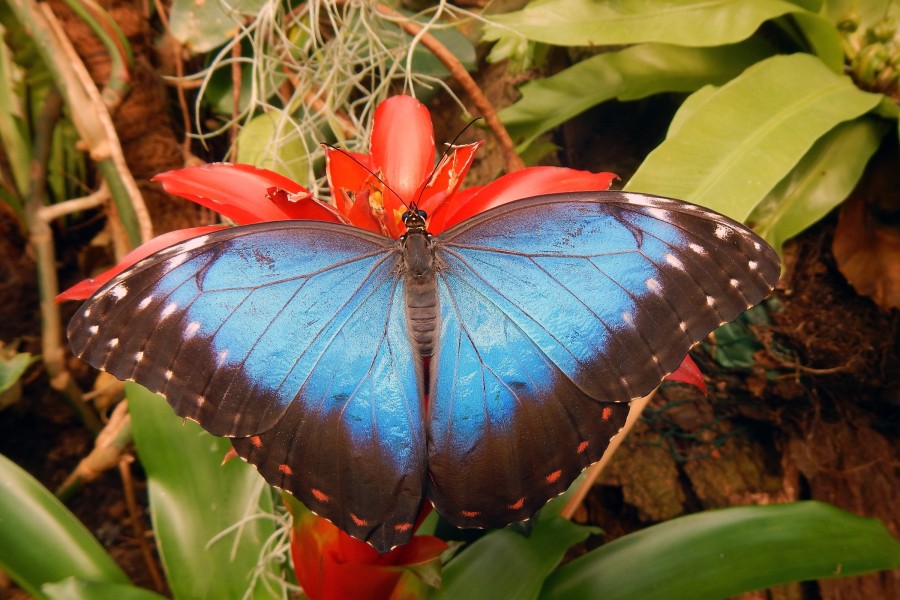 - file://nmyf07kiaash2one