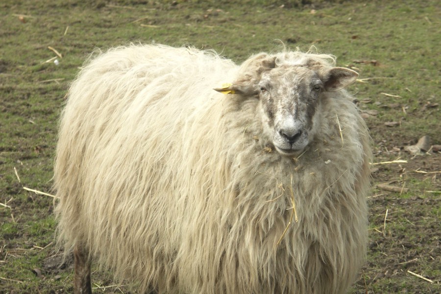 - file://zyddlzygyvf3np57