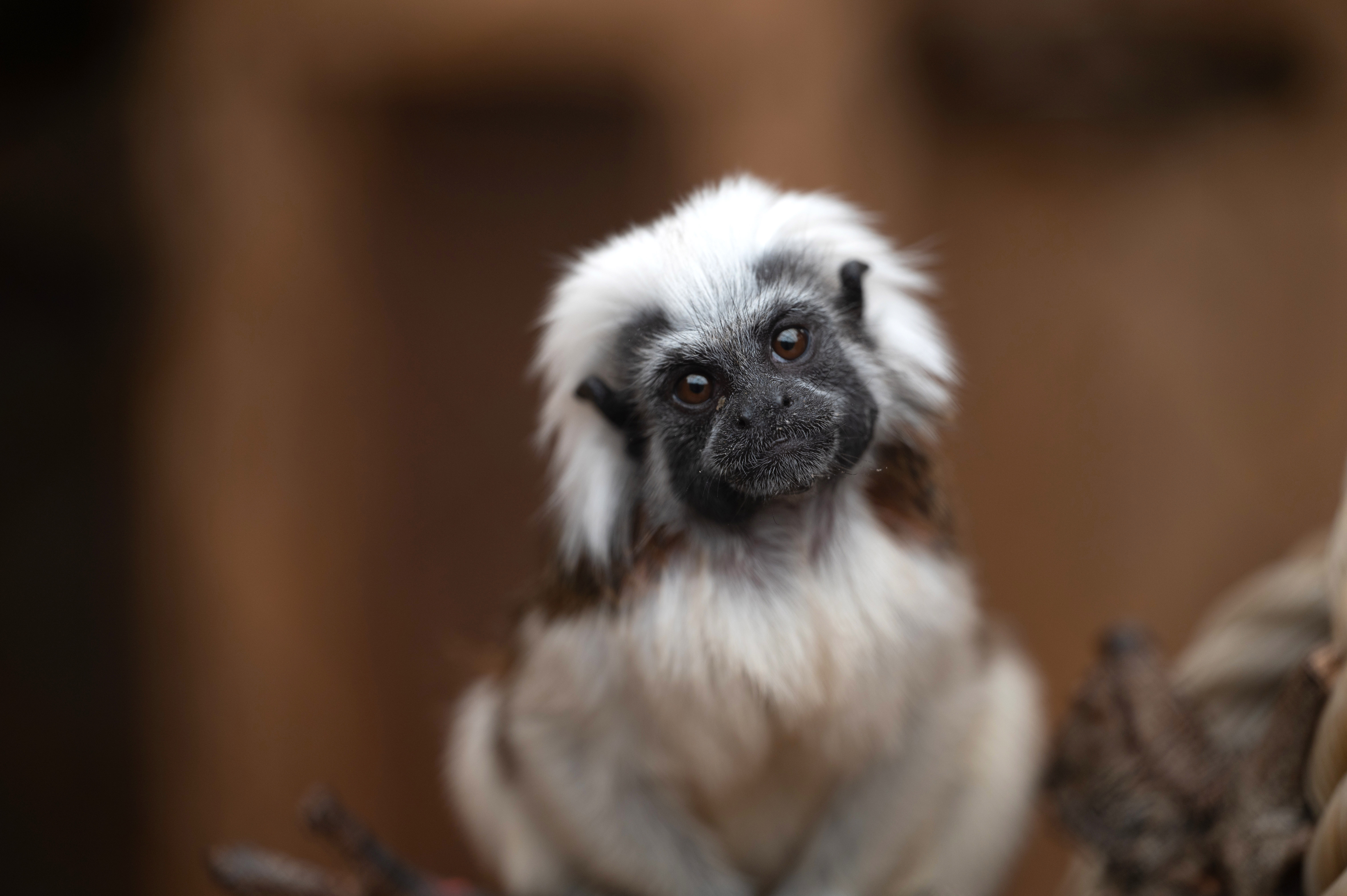 - file://ixtxtyretlvf3pqj